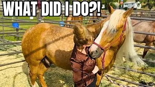 Thumbnail: I May Have Gotten Myself Into Trouble At This Horse Auction…