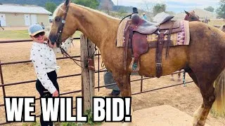Thumbnail: Stunning Chocolate Palomino At This Wyoming Sale! Wait Till You See More!