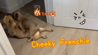 Thumbnail: Cheeky attack 😆
