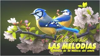 Thumbnail: Mélodies orchestrées / La plus belle mélodie instrumentale medley