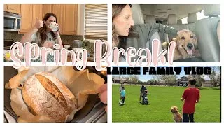 Thumbnail: SPRING BREAK SHINANIGANS 2023 Oakley's sick! Outings, Large Family Meals, Sourdough Bread