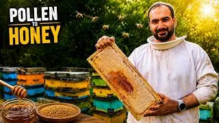 Thumbnail: Pollen Collection, Honey Harvest & Extraction | The Complete Beekeeping Process