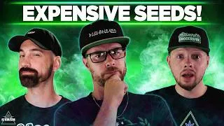 Thumbnail: Why The Price of Genetics is Now Outrageous! - From The Stash Podcast Ep. 291