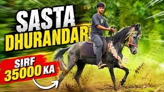 Thumbnail: 2 Daat Ka Sasta Dhurandar: Sirf 35000 Ka at Choudhary Horse Farm Padgha Mumbai 