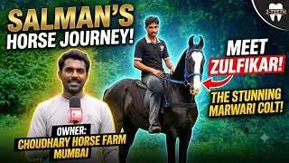 Thumbnail: Zulfikar - 2 Teeth Marwari Colt & Salman’s Equine Journey at Choudhary Horse Farm Padgha (Mumbai)