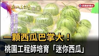 Thumbnail: 一顆西瓜巴掌大！　桃園工程師培育「迷你西瓜」－民視新聞