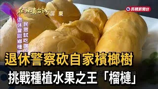 Thumbnail: 退休警察砍自家檳榔樹　挑戰種植水果之王「榴槤」－民視新聞