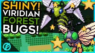 Thumbnail: SHINY! Viridian Forest Bugs! (Caterpie, Metapod, Butterfree, Weedle, Kakuna, Beedrill)