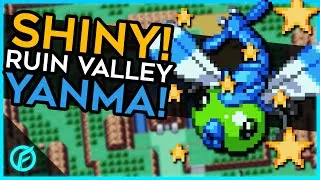 Thumbnail: Shiny Ruin Valley Yanma after 46.168 Total REs! Pokemon Fire Red/Leaf Green