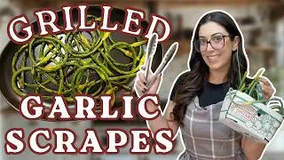 Thumbnail: Harvesting Garlic Scapes & Cooking Them Fresh From the Garden *Zone 6b*