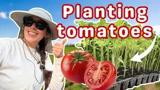Thumbnail: My 2026 Planting Season Has Officially Begun! *ZONE 6b Tomatoes*