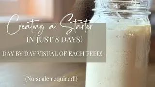 Thumbnail: Creating a sourdough starter in just 8 days: daily feedings!