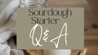 Thumbnail: Sourdough Starter Q&A!