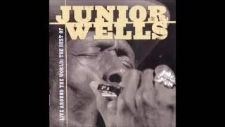 Thumbnail: Junior Wells -  Sweet Sixteen