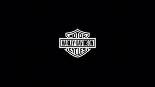 Thumbnail: My Harley Davidson Low Rider S - Video view 