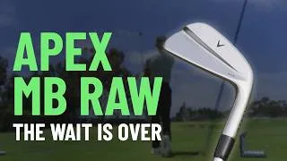 Thumbnail: Everybody has been talking about these irons...