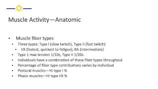Thumbnail: EXSC 7200.3.5 Muscle Activity and Fiber Types