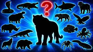 Thumbnail: Guess the Shadow of Dangerous Animals Quiz! 🐍 Hard Animal Shadow Quiz (Part 2)