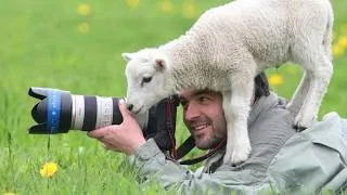 Thumbnail: When Funny Animals Surprised Photographers in the Funniest Way 😂
