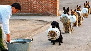 Thumbnail: When God Sends You Funny Animals 😂 Funny Animal Videos 2026