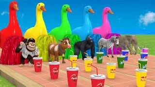 Thumbnail: 5 Giant Duck Cartoon,Cow,Elephant,Tiger,Lion,Dinosaur,Paint Wild Animals Crossing Fountain Animation