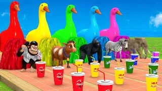 Thumbnail: 5 Giant Duck Cartoon: Cow Elephant Tiger Lion T-Rex. Paint Animals Crossing Fountain Transformation