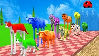 Thumbnail: 5 Giant Duck Cartoon. Paint Animal:Cow Elephant Tiger T-Rex Crossing Fountain & Guess The Right Door