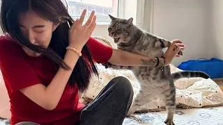 Thumbnail: These Crazy Cat Reactions Caught Their Owners Completely Off Guard! 😂