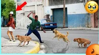 Thumbnail: Try not to laugh😂😂😂 challenge level 75 Extreme funniest videos 2026 #funnyvideos #comedy #funny #fun