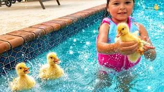 Thumbnail: 🌞🐥💖 Swimming with Adorable Baby Ducklings! 💦🐥🌞