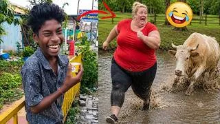 Thumbnail: The Don't Laugh Challenge 😂 The Funniest Moments of the Week 🤣