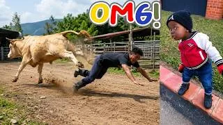 Thumbnail: The funniest and craziest moments on the internet  The challenge Don't laugh