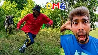 Thumbnail: The funniest and most hilarious videos on the internet  Try not to laugh