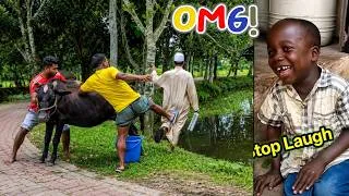 Thumbnail: The funniest videos on the internet (latest) || Try not to laugh
