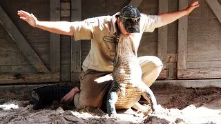 Thumbnail: Funny Animal Attacks 2023 [Funny Pets]