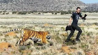 Thumbnail: Damn Nature You Scary | Funny Scary Animal Encounters 2023 [Funny Pets]