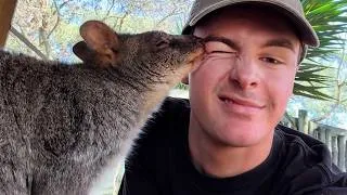 Thumbnail: When Animals Choose You as Their Favorite Person