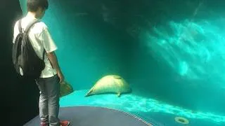 Thumbnail: These FUNNIEST ANIMALS Are Planning To Win The Internet 😂