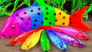 Thumbnail: Stop Motion ASMR | The Battle of the Eel Hole Experiment Under Primer Mud Fun Amazing Fishing Video