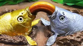 Thumbnail: Compilation Of Stop Motion ASMR - The KOI Fish Hunting Eggs Experiment Under Unusual Mud