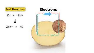 Thumbnail: Science Explained: Potato Battery