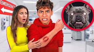 Thumbnail: GUCCI IS POSSESSED?! 😈 HE BIT FERRAN! (THE ROYALTY FAMILY) 🚨