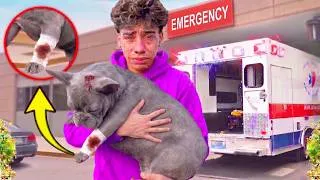 Thumbnail: WE LOST GUCCI... 😭💔 FERRAN CAN'T STOP CRYING! (The Royalty Family)