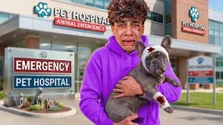 Thumbnail: GUCCI IS GONE?! 😭💔 FERRAN'S SADDEST MOMENT! (The Royalty Family Quiz 2026)