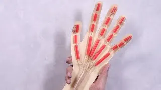 Thumbnail: 6 FUN STEM Activities