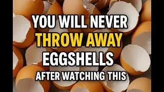 Thumbnail: You Will Never Throw Away Eggshells After Watching This