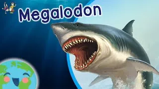 Thumbnail: The Megalodon - Animals for Kids (Learning Videos for Kids)