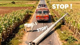 Thumbnail: The divine cow appeared! Prevented the disaster from happening.#cow #rescue