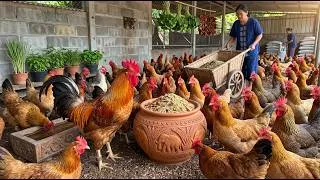 Thumbnail: Farm Fresh Eggs: Daily Harvest & Animal Friends - Future Agro Processing