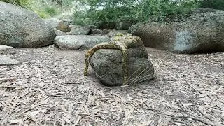 Thumbnail: Entropic   Motion Tracking Royal Park
